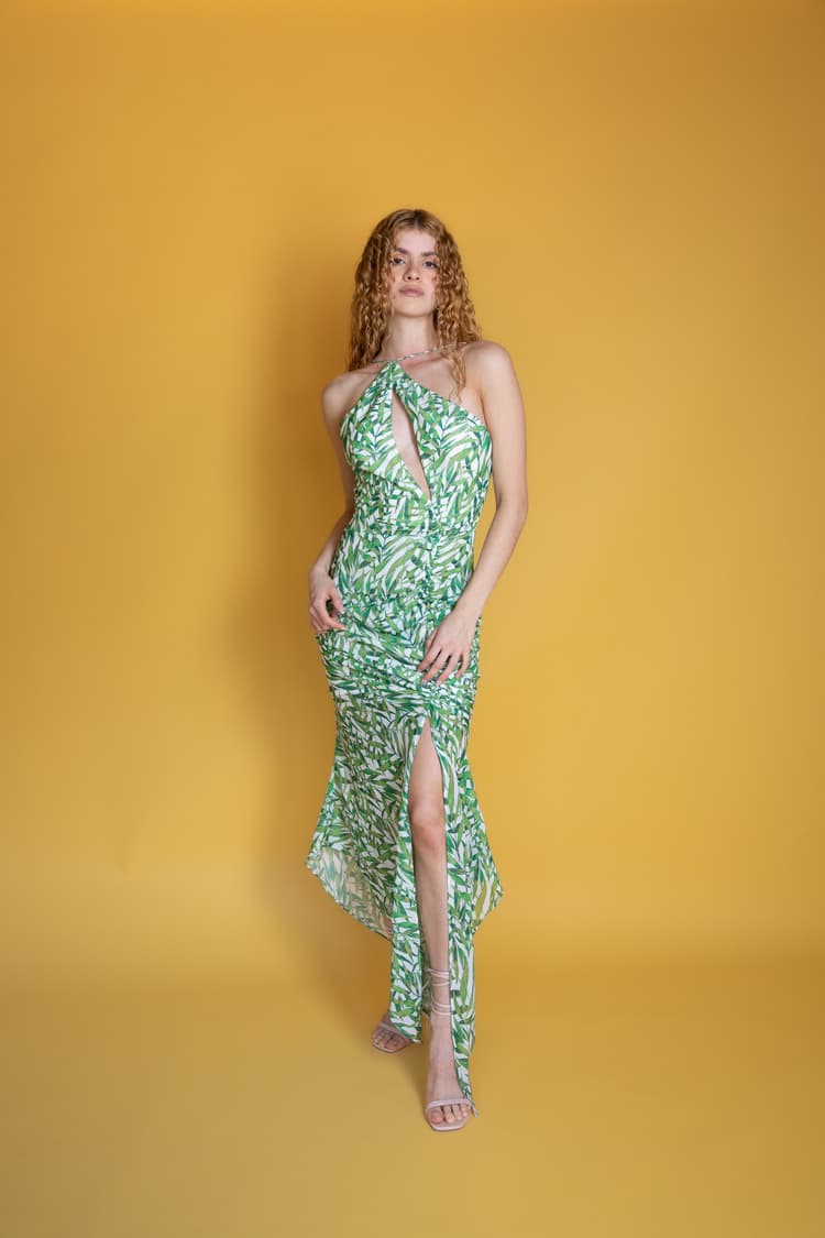 Rosina Midi