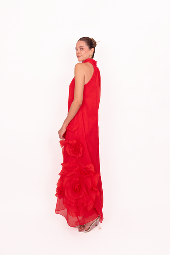 Carla Maxi