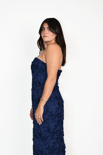 Dafne Midi