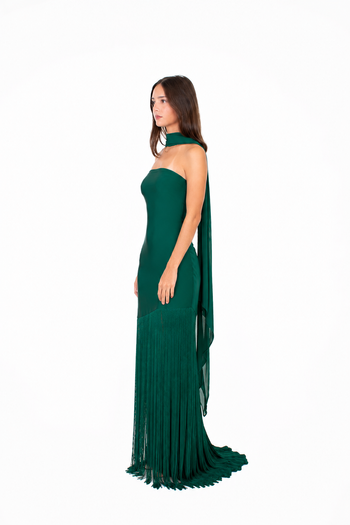 Demis Maxi