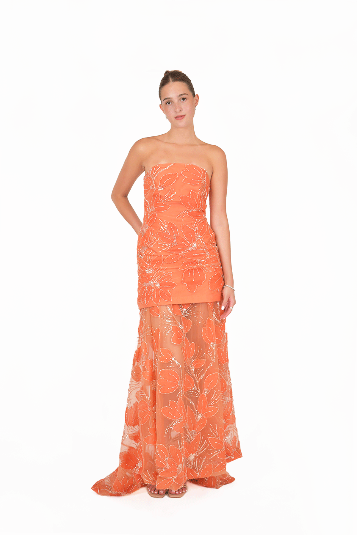 Luciana Maxi