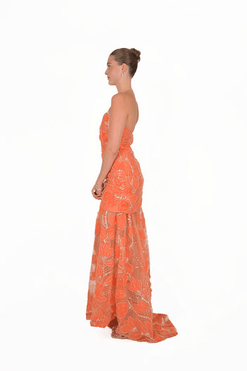 Luciana Maxi