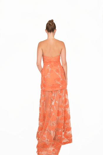 Luciana Maxi