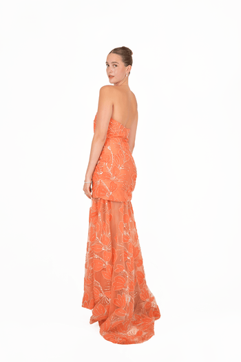 Luciana Maxi